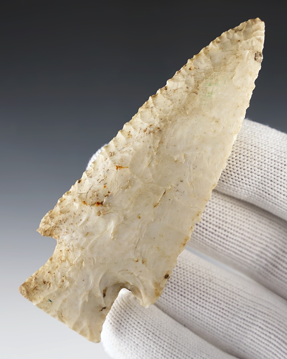 3 3/4" beveled Hardin made from Burlington Chert. Found in the Missouri/Illinois area. COA.