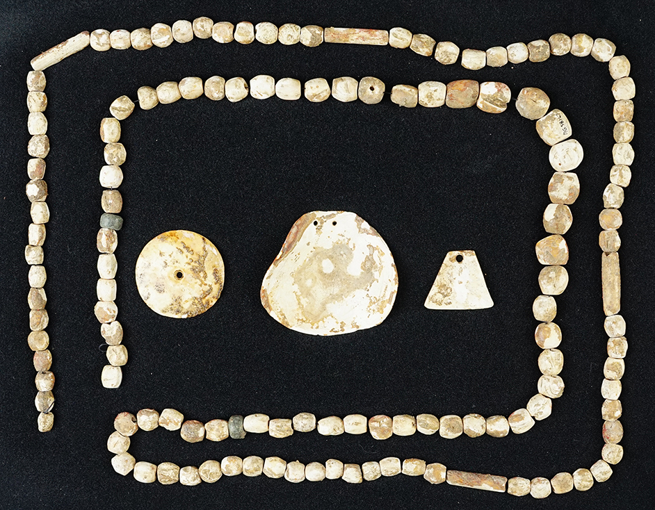 Set of Shell Pendants and Beads found by Art Gerber near Crib Mound, Spencer Co., Indiana.