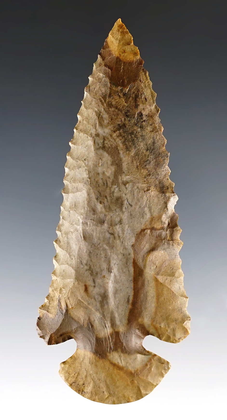 3 9/16" Archaic Dovetail made of Buffalo River Chert. Found in Stewart Co., Tennessee. COA.