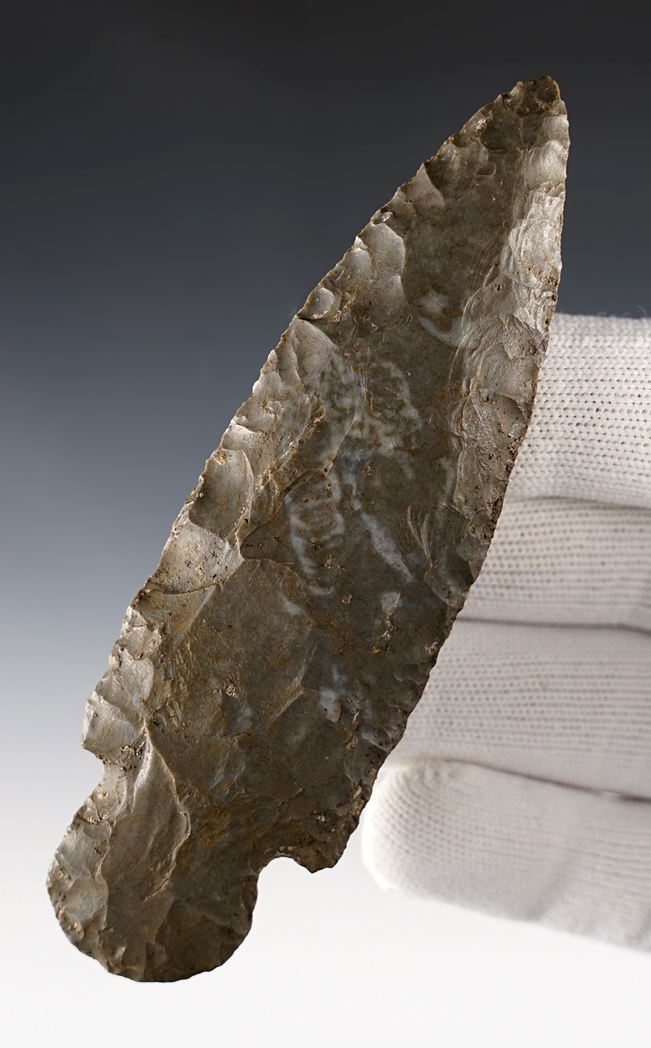 4 7/16" Adena made from Ft. Payne Chert. Found in Pulaski Co., Kentucky. Dickey COA.