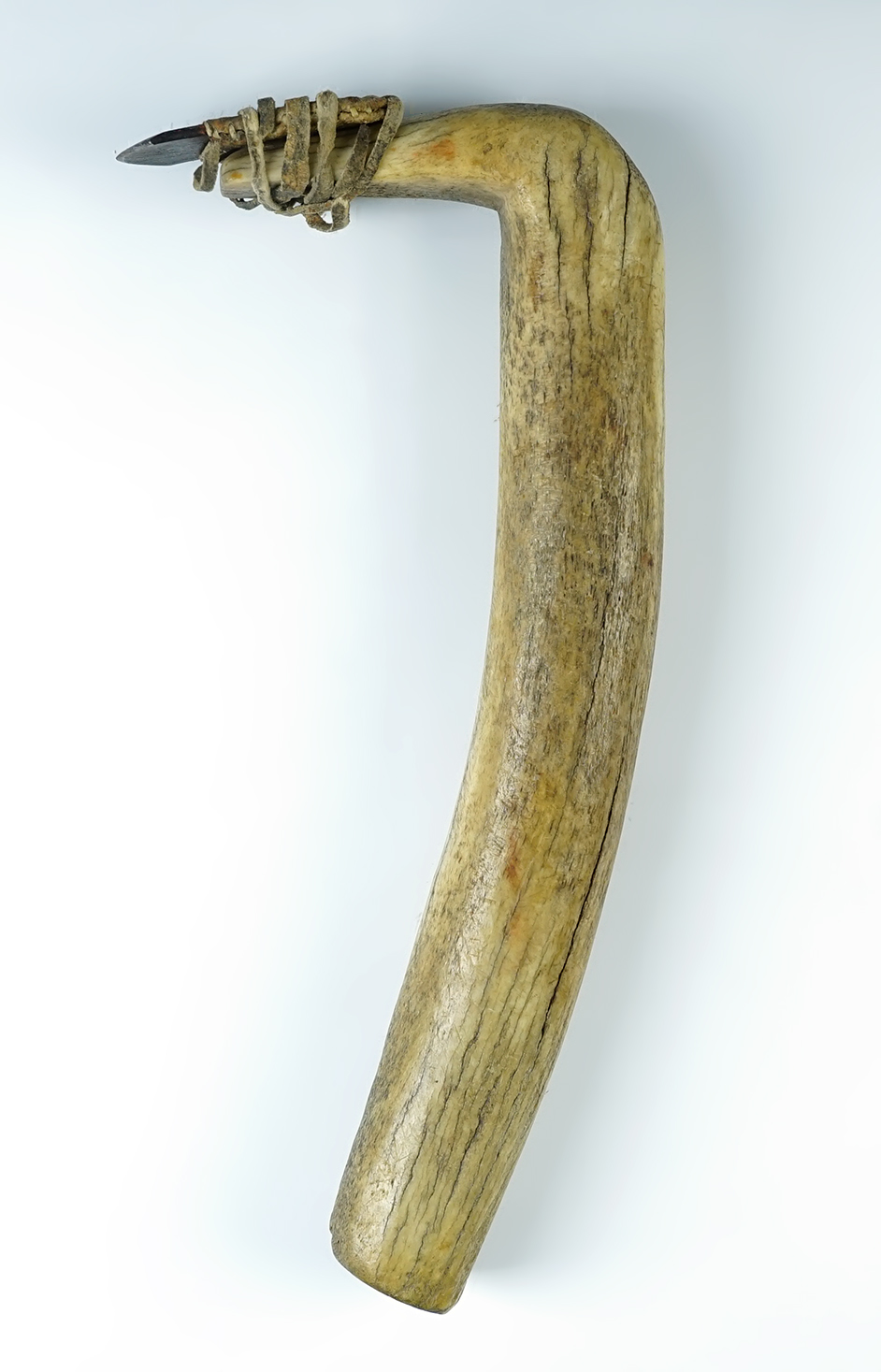 11 3/4" long Elk Horn Hide Scraper with attached iron bit. Northern Plains.