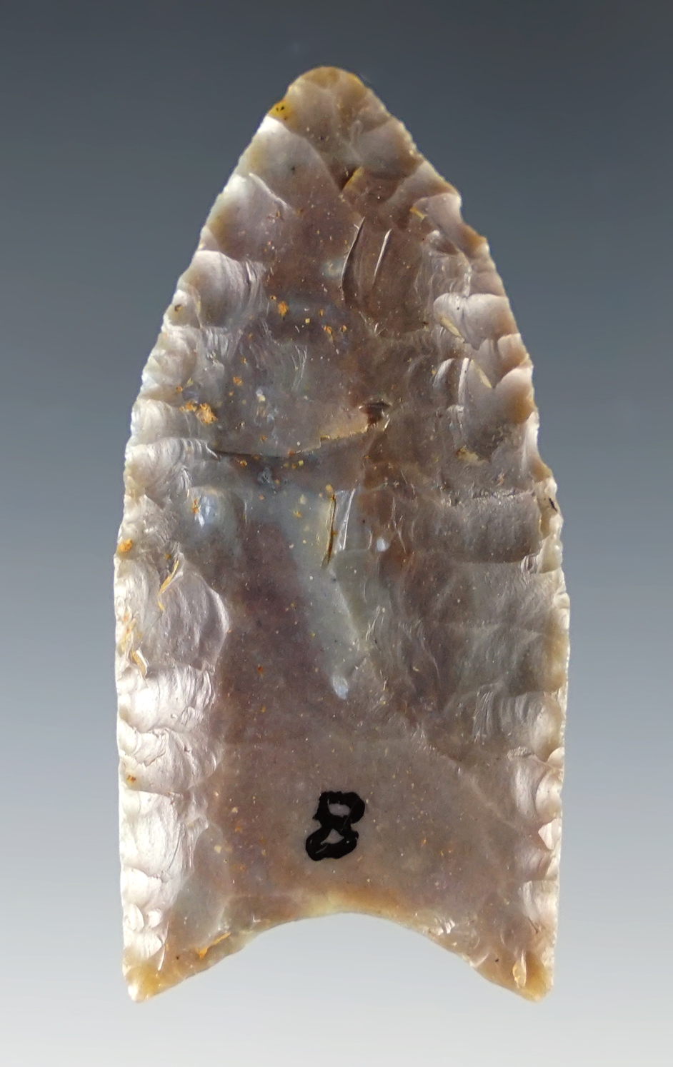 2" Fluted Paleo Clovis made from Sonora Flint. Found in Mercer Co., Kentucky.