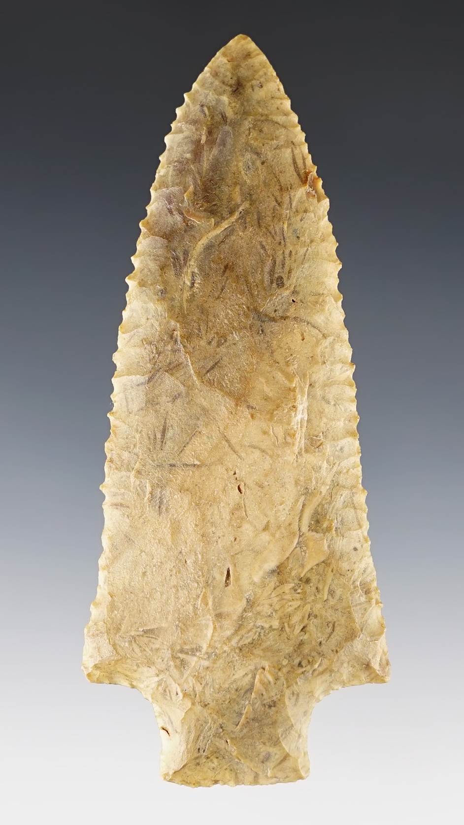 4 3/16" Wacissa  from multi-colored Flint.  Lowndes Co., Georgia. Comes with a Bennett COA.