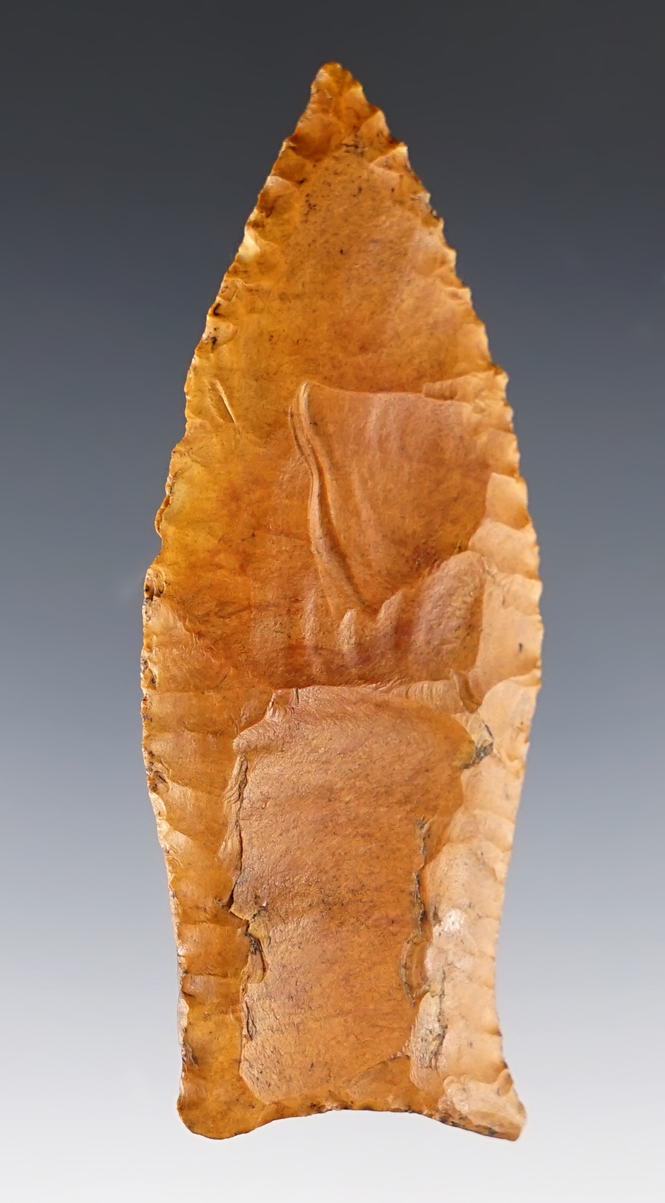 3 3/16" Simpson from river stained Flint. Found in Columbia Co., Florida. COA's.