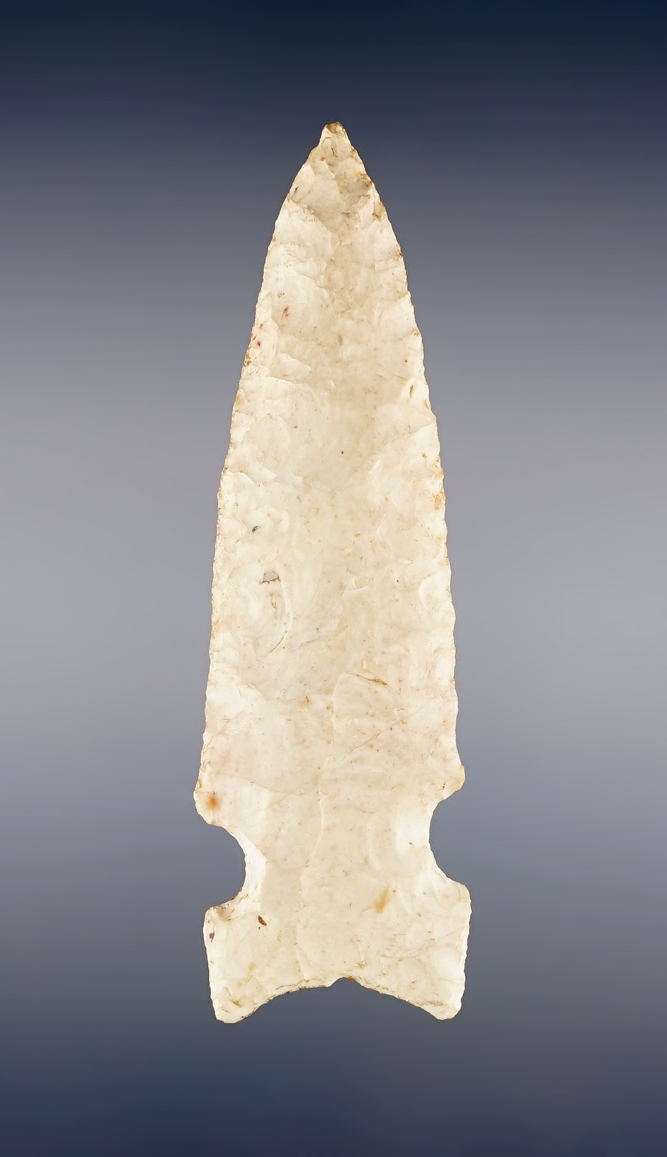 3 3/4" Osceola that is well styled with nice mineral deposits on surface. Recovered in Illinois.