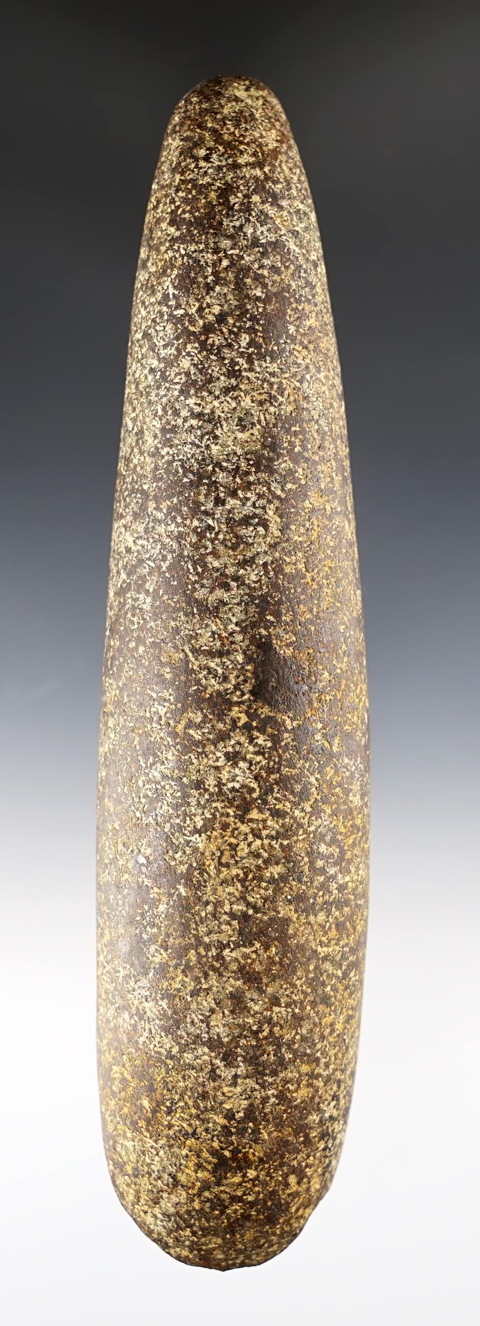 7 3/8" Humped Adze recovered in Warren Co., New Jersey. Made from speckled Granite.