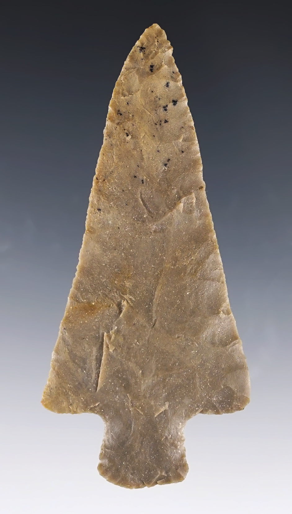 3 3/8" Cotaco Creek made from Fort Payne Chert. Found in Sumner Co., Tennessee.  COA.