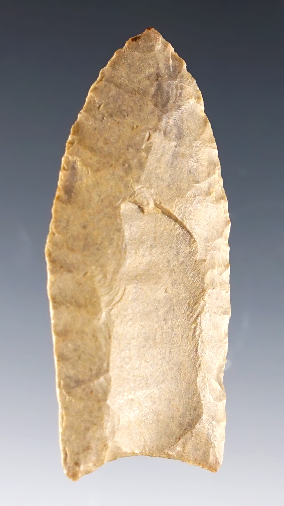 2 3/16" Paleo Fluted Clovis made from Delaware Chert Found in Miami Co., Ohio. Ex. Driskill.