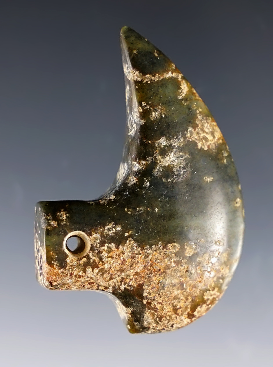 2" x 1 3/8" PreColumbian Claw or Bird Effigy Pendant. Guanacoste, Costa Rica.