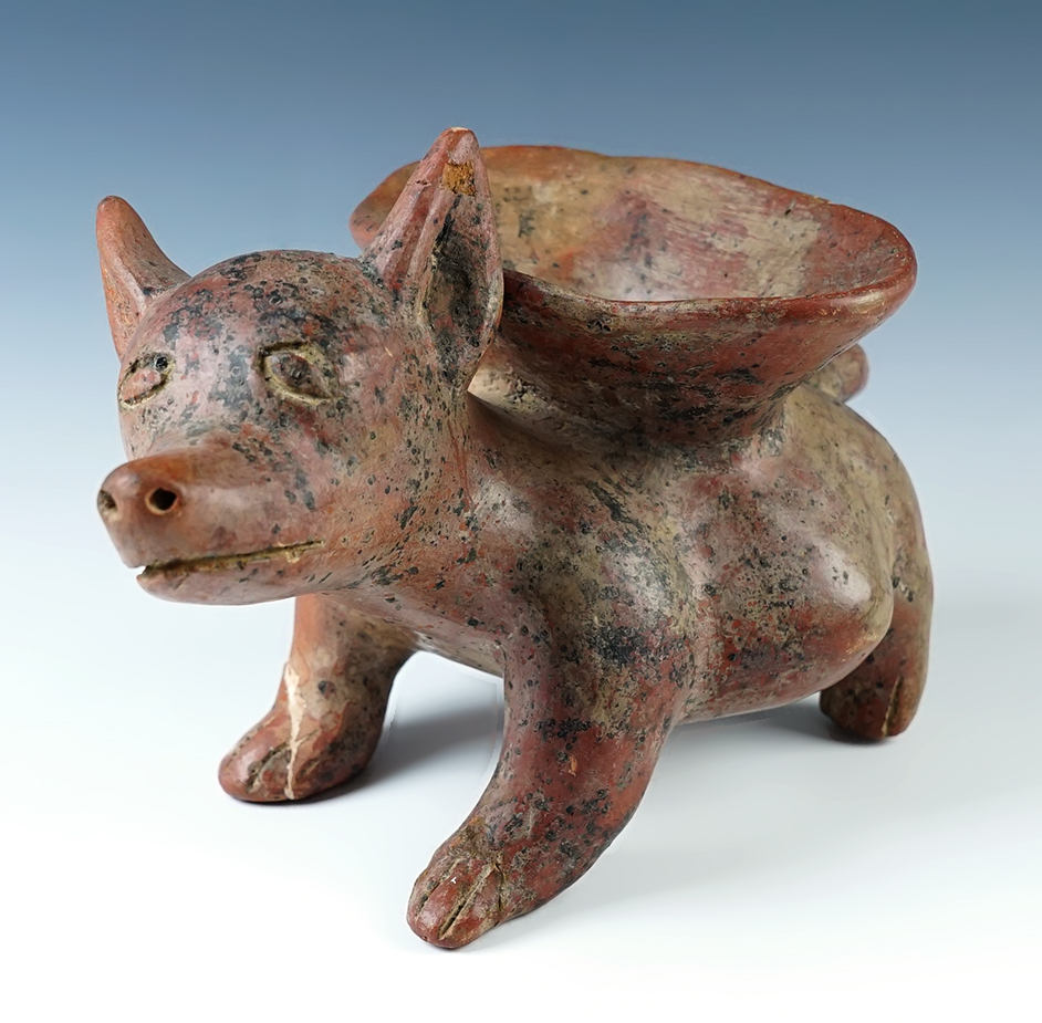 10" long by 5 1/2" tall Colima Male Dog Pottery Vessel recovered in western Mexico.