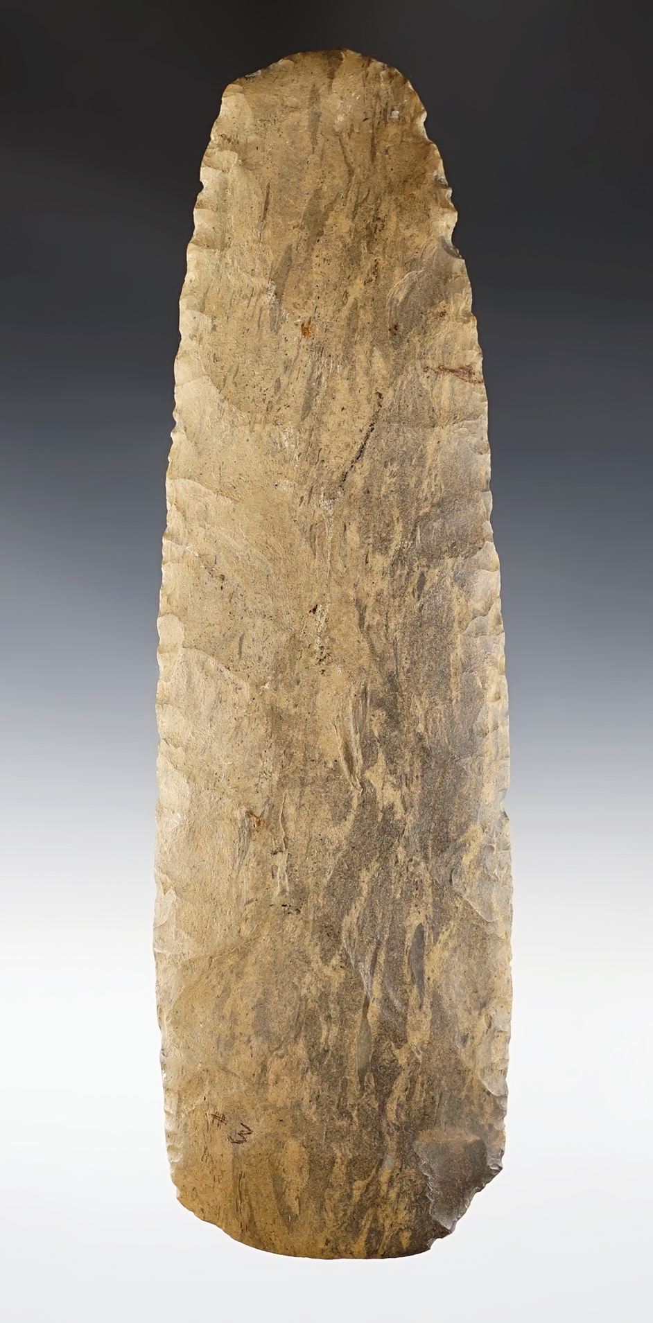 7 7/16" Adze made from brown Dover Chert. Found in Cheatham Co., Tennessee.