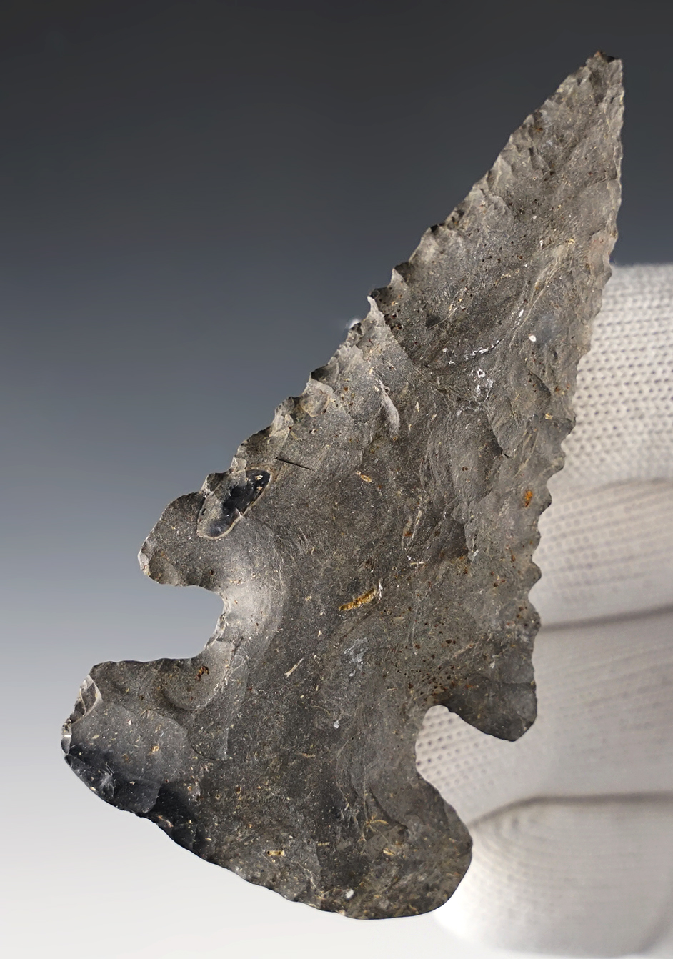 3 5/16" Beveled Thebes found in Meade Co., Kentucky. Made from Nellie Chert. COA.