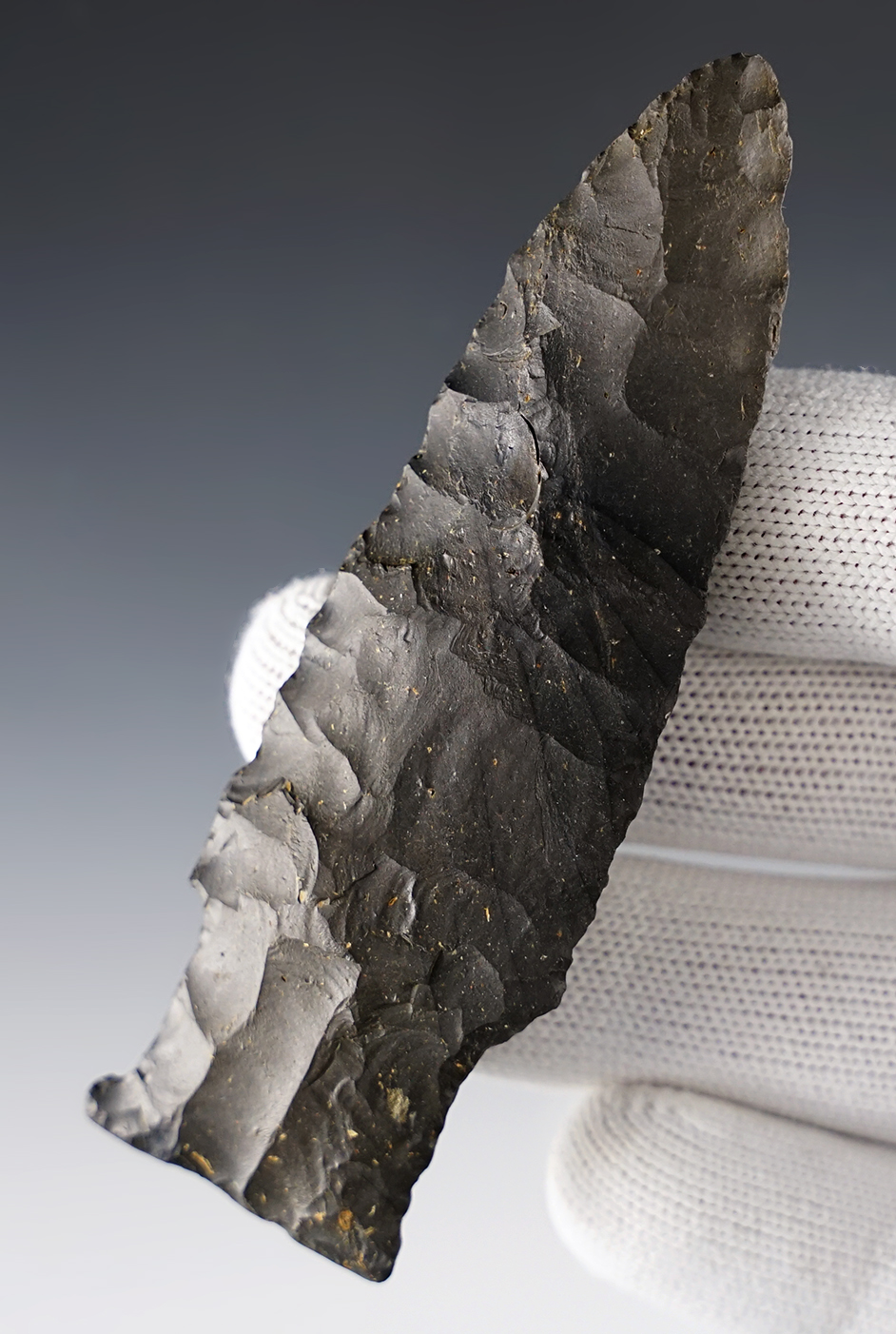 3 5/8" Paleo Stringtown Lance. Made of Coshocton Flint. Found in Delaware Co., Ohio. COA.