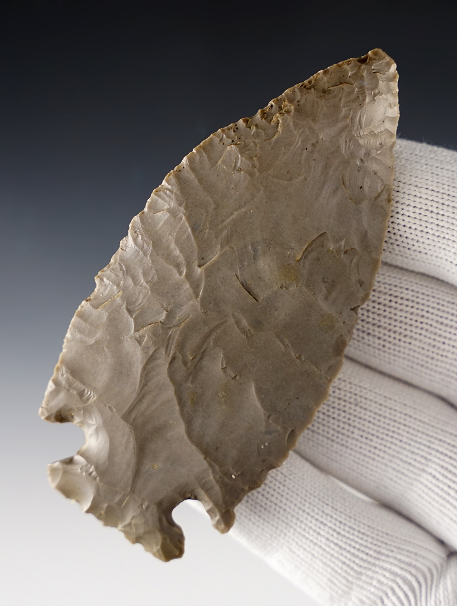 3 1/2"  Jacks Reef that is made from Hornstone. Found in Mercer Co., Kentucky. Davis COA.