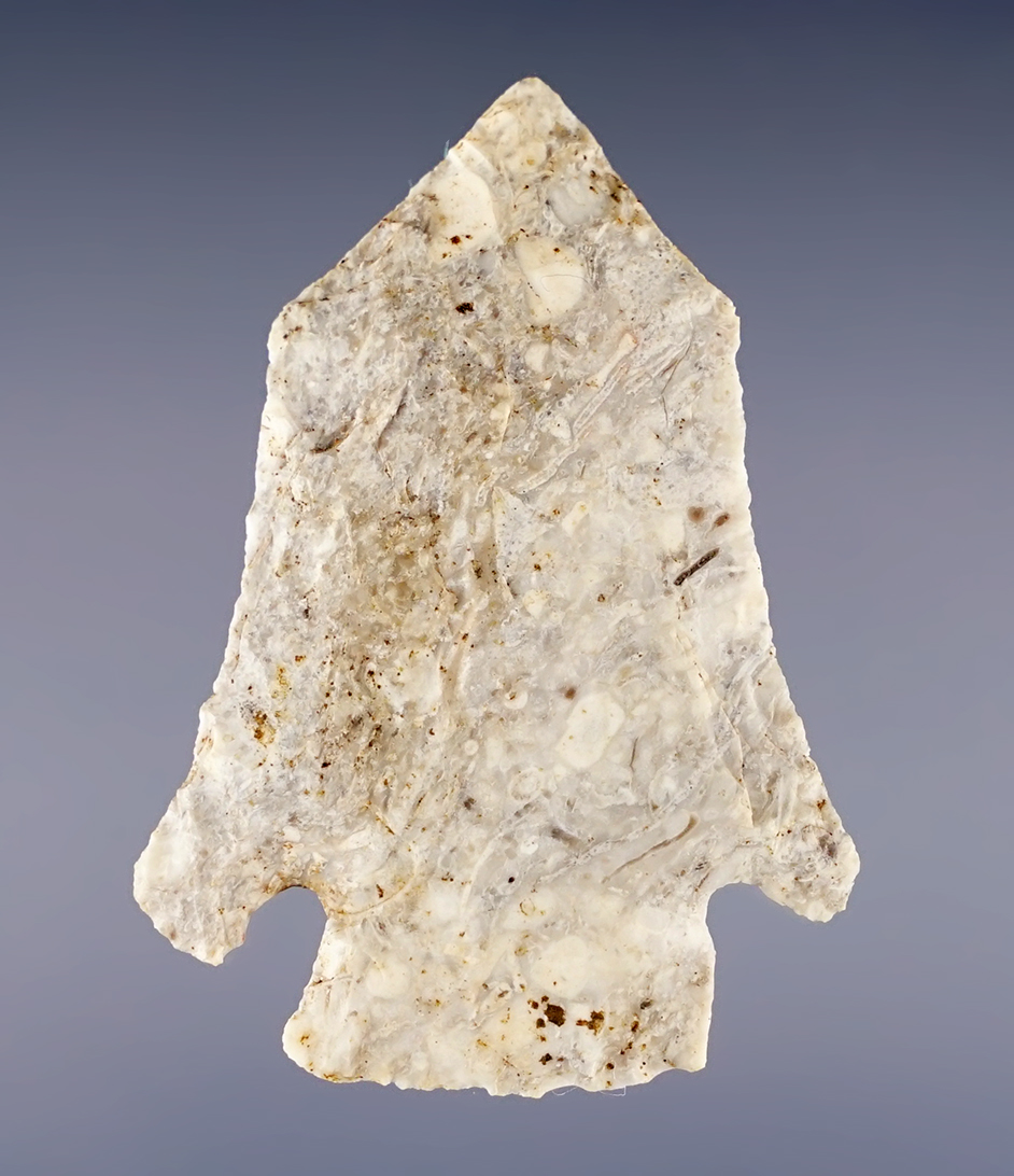 2 1/8" Missouri Afton that is styled from Burlington Chert. Ex. Eiserman. Bennet COA.