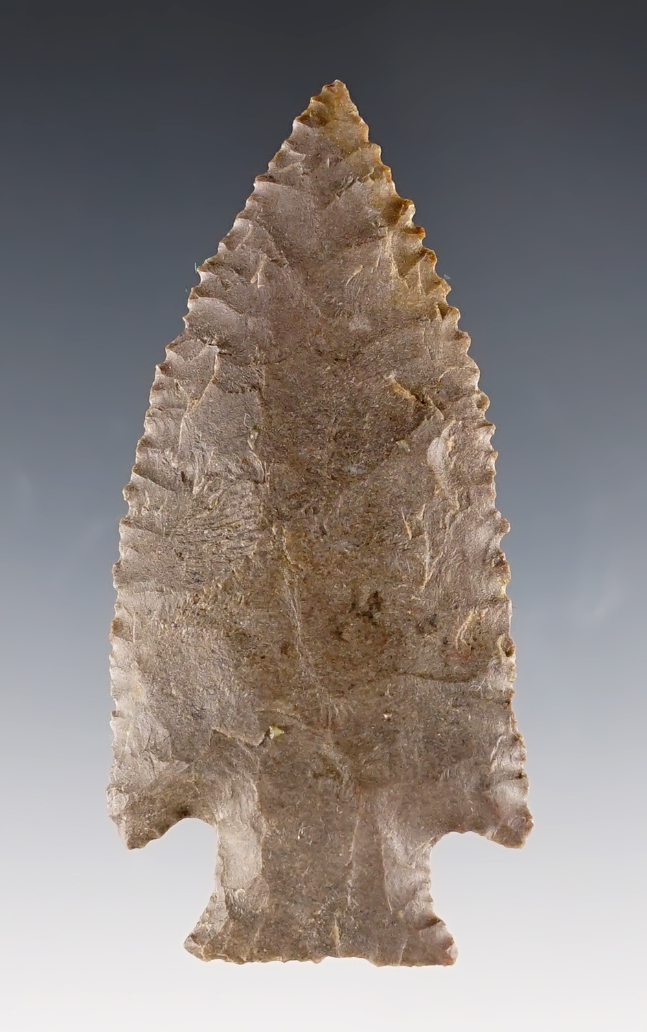 2 15/16" Knife from Ft. Payne Chert. Part of cache - Harpeth Site in Stanfield, Tennessee.