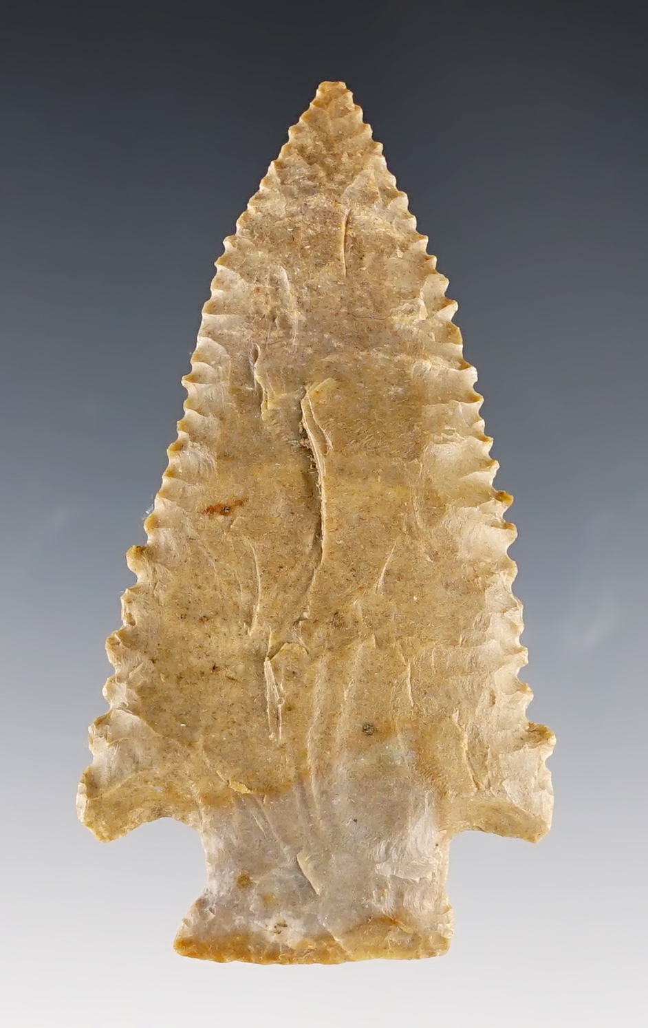 2 11/16" Knife from Ft. Payne Chert. Part of cache - Harpeth Site in Stanfield, Tennessee.