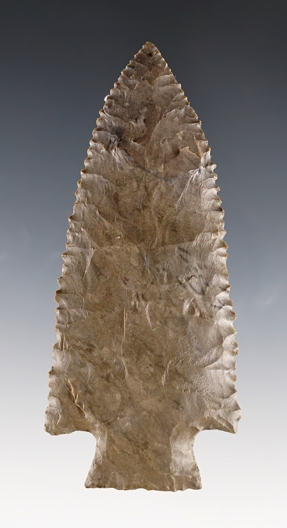 2 7/16" Knife from Ft. Payne Chert. Part of cache - Harpeth Site in Stanfield, Tennessee.