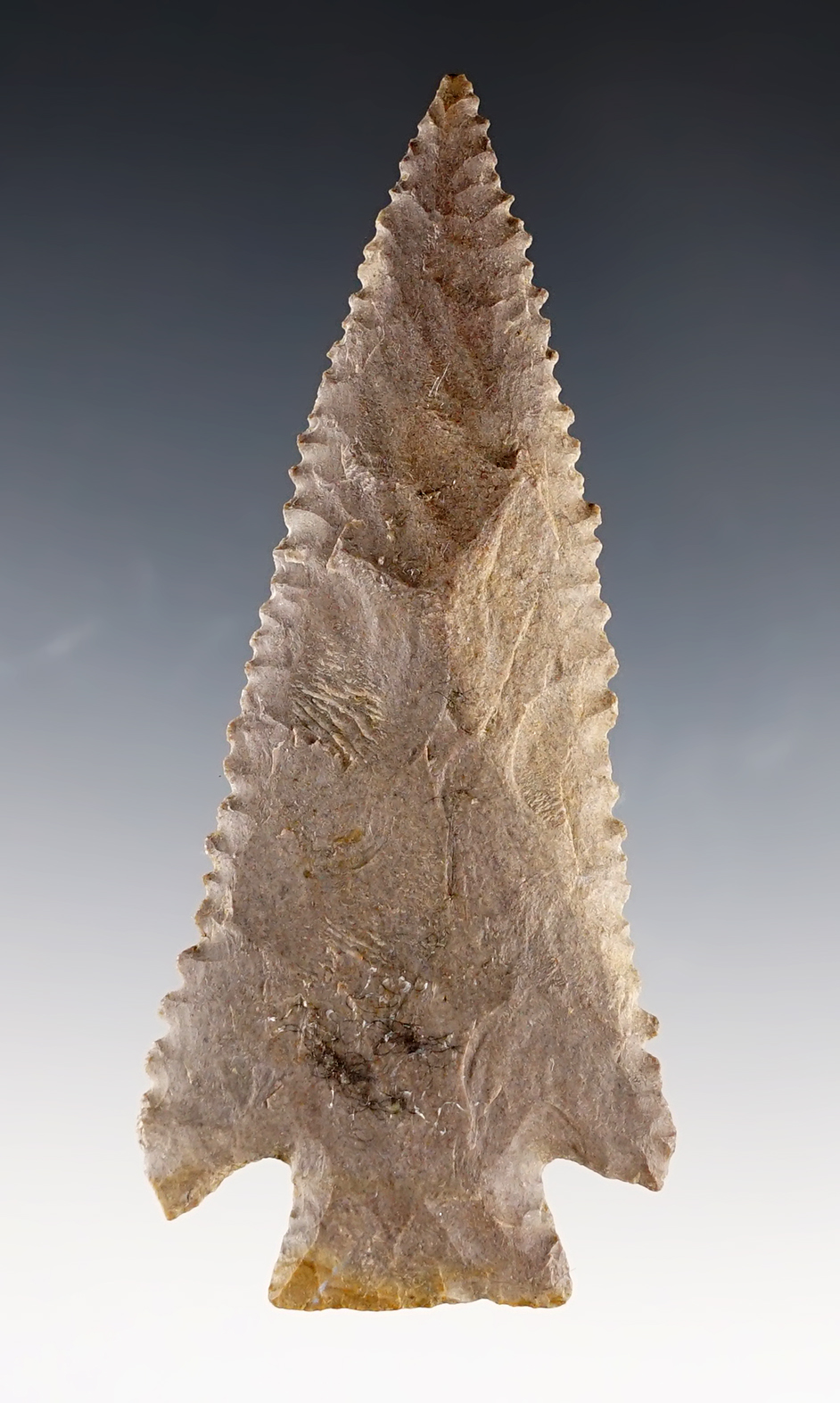 3 11/16" Knife from Ft. Payne Chert. Part of cache - Harpeth Site in Stanfield, Tennessee.