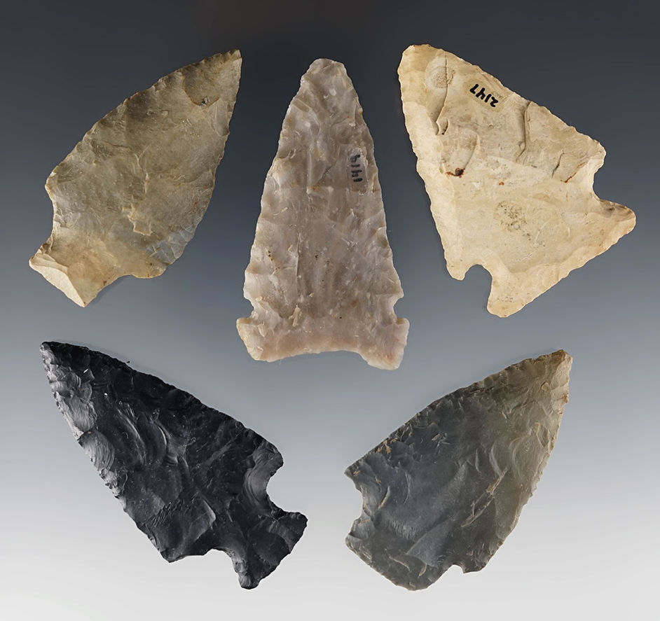 Set of 5 well made points found by Charlie Long in Clark Co., Kentucky. The largest is 2 9/16".