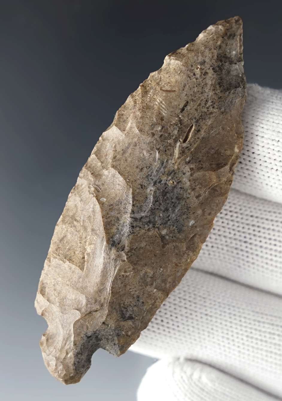 Rare 2 7/8" Perino Knife (Ovoid) recovered in Fulton Co., Illinois.