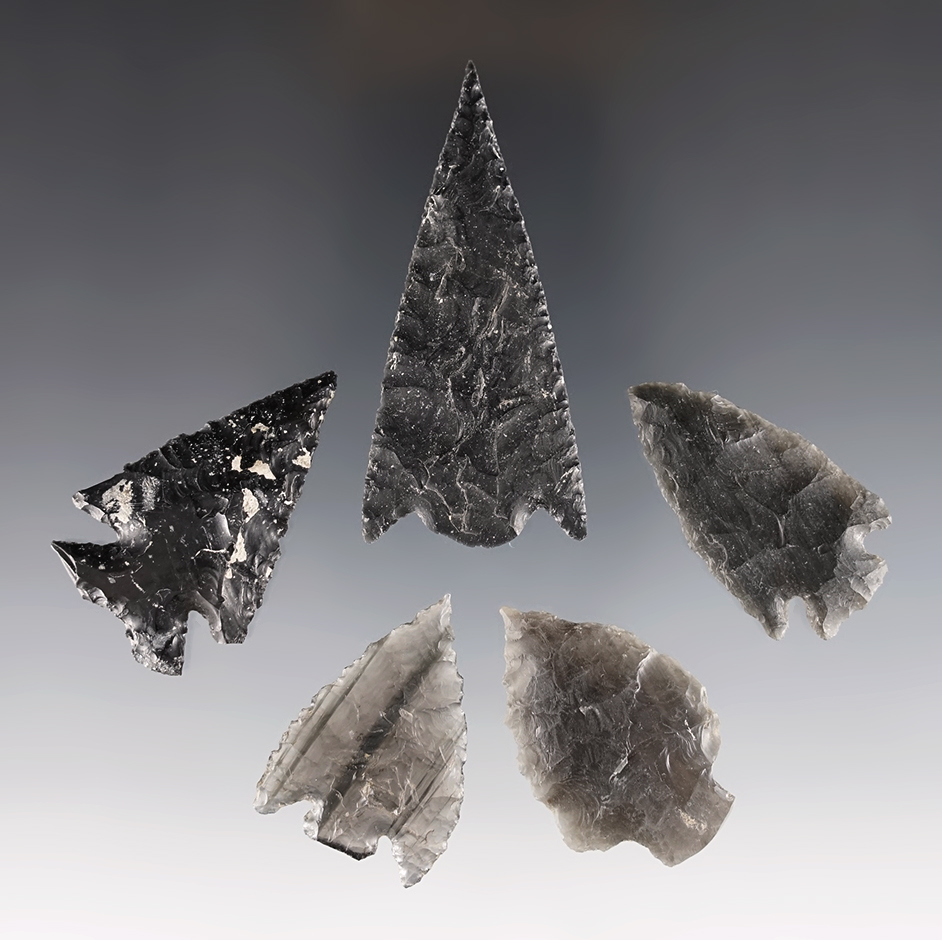 Set of 5 Obsidian points found in the Great Basin area. The largest is 2 7/16".