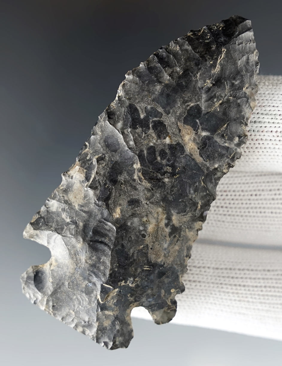 2 7/8" Archaic Cornernotch made from beautiful Coshocton Flint. Found in Huron Co., Ohio.