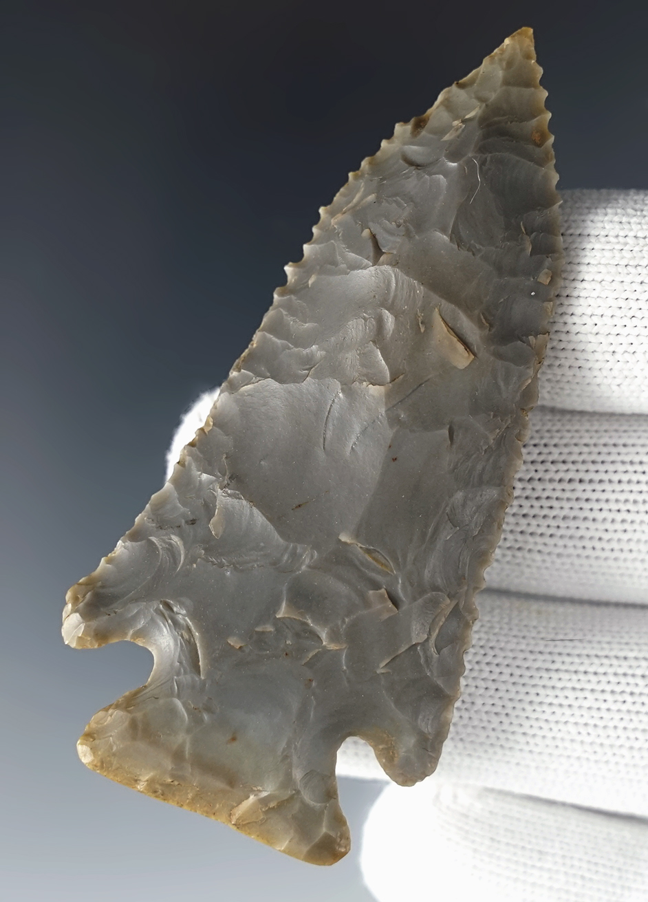 3 1/16"  Pinetree with fine serrations. Found in Stewart Co., Tennessee. Ex. Jerry Dickey.