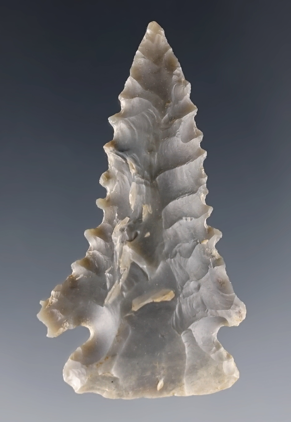 Nicely serrated 2" Pinetree made from Hornstone. Found in Kentucky. Ex. Hocker Smith.