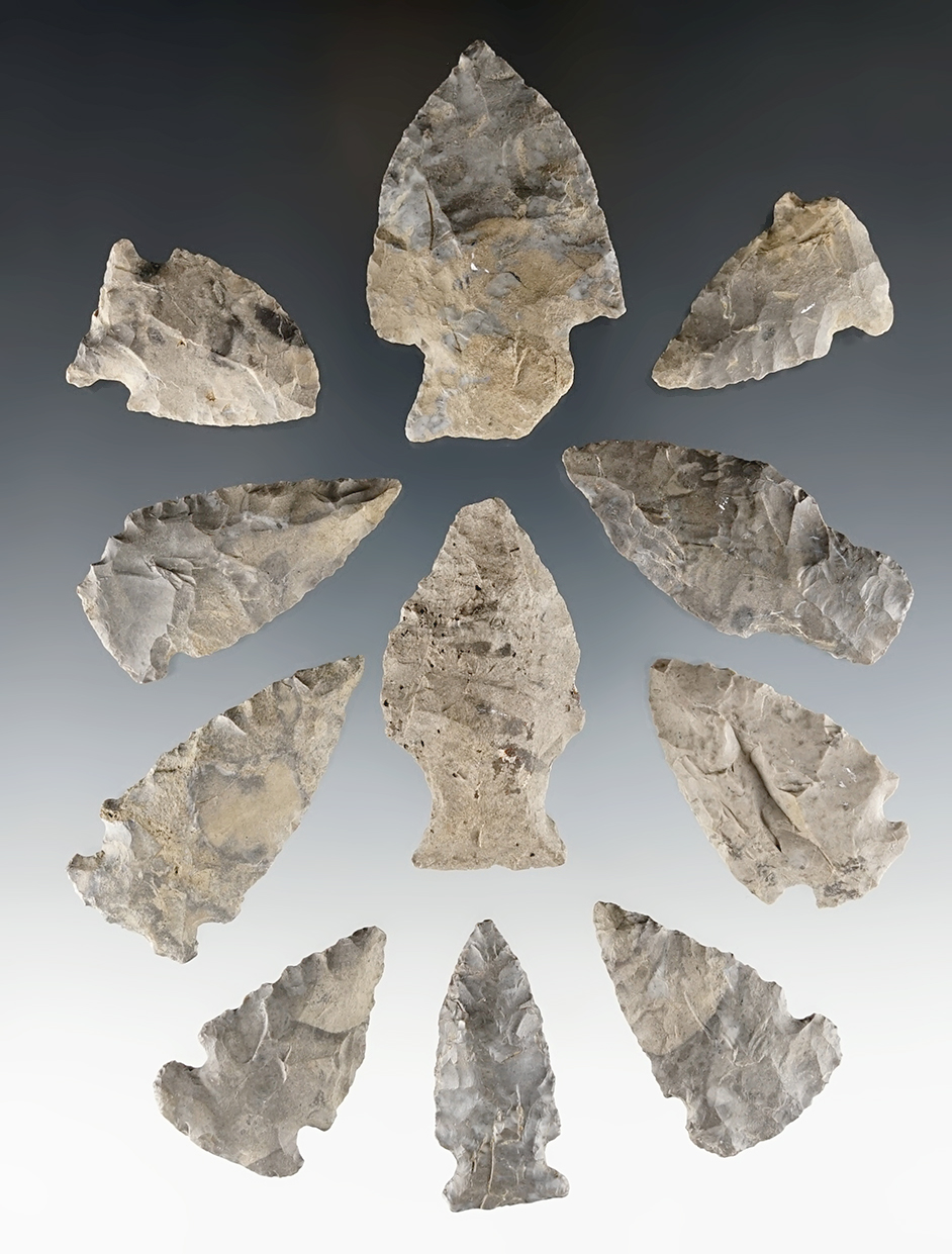 Set of 11 assorted points found in Chautauqua, New York. Ex. Jordan Christensen.