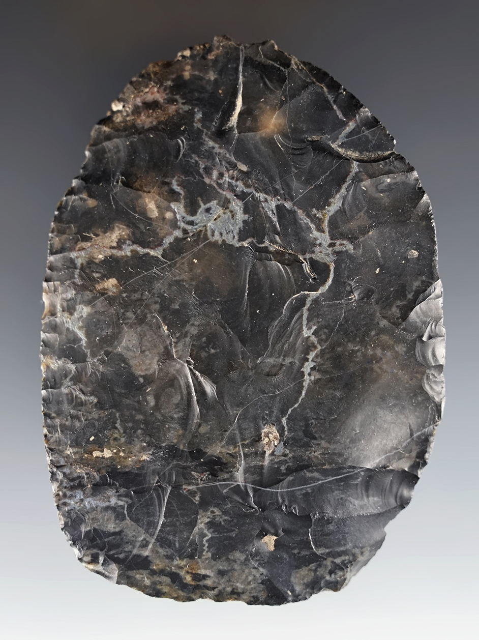 Fine 3 7/16" oval-shaped Paleo Knife made from high-grade Coshocton Flint. Found in Ohio.