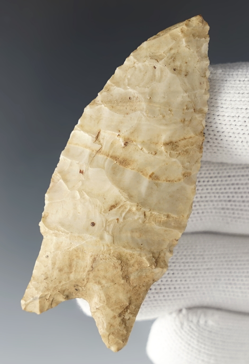 2 5/8" Holland found in Western Tennessee. Small flat spot on one side of the tip from an impact fracture caused by ancient use.  Well styled base.