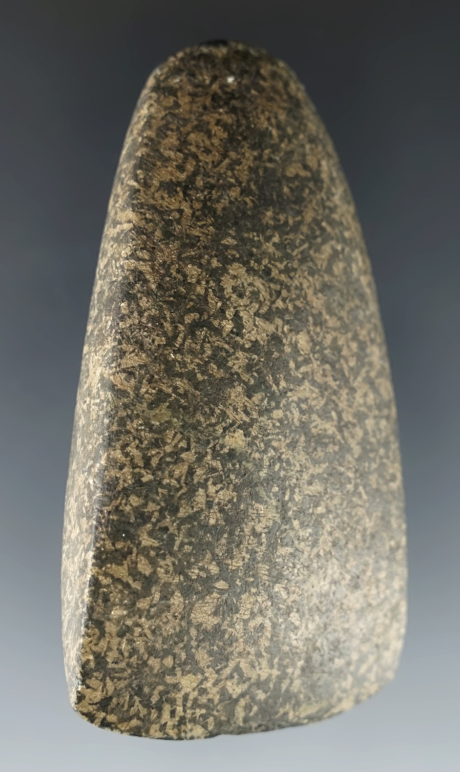 2 7/8" highly polished Granite Celt found by James Moffett, Tuscarawas Co., Ohio