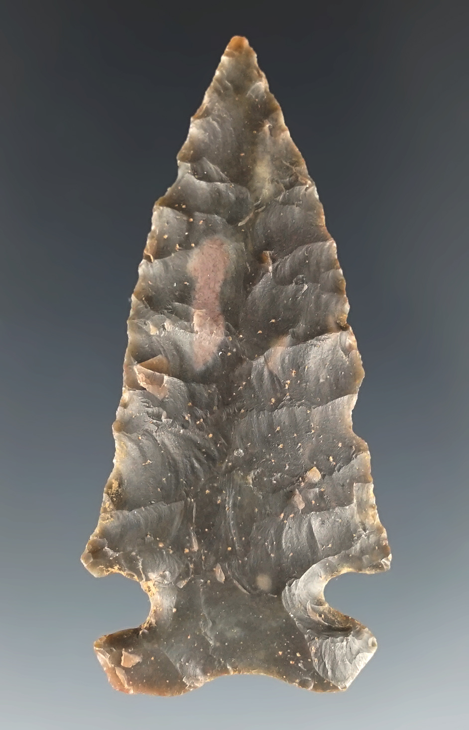 2 3/8" well styled Archaic Cornernotch with nice ancient basal grinding. Recovered in Kentucky.