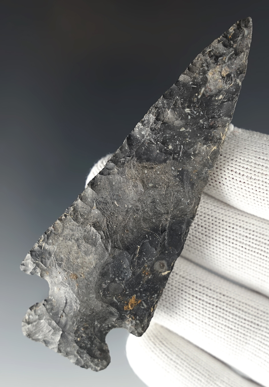 Nice 3 13/16" Thebes found in Ohio. Ex. Gilbert Dilley. Beautiful grade of Coshocton Flint.