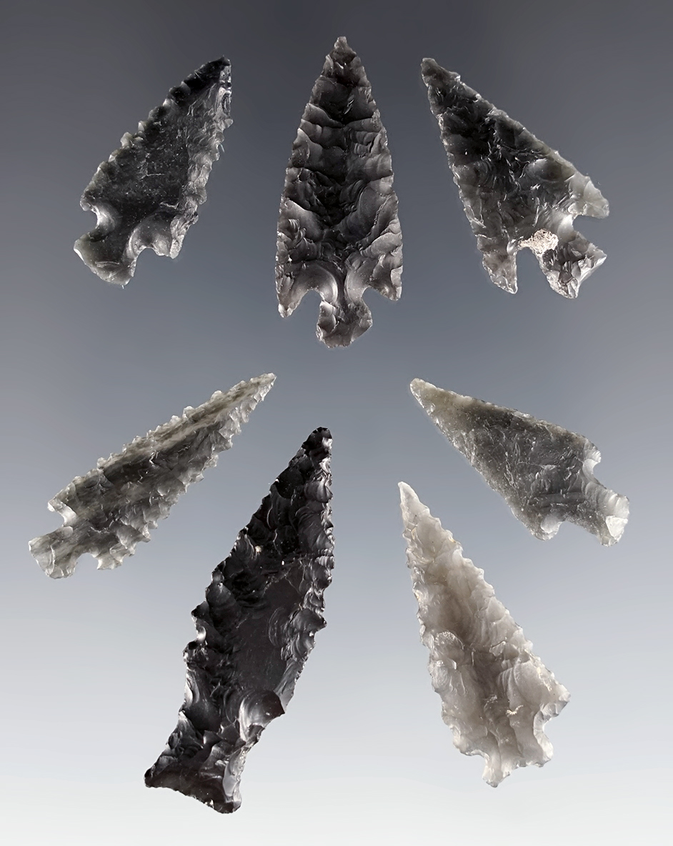 Set of 7 nice Arrow Points found in the Great Basin area. The largest is 1 9/16".