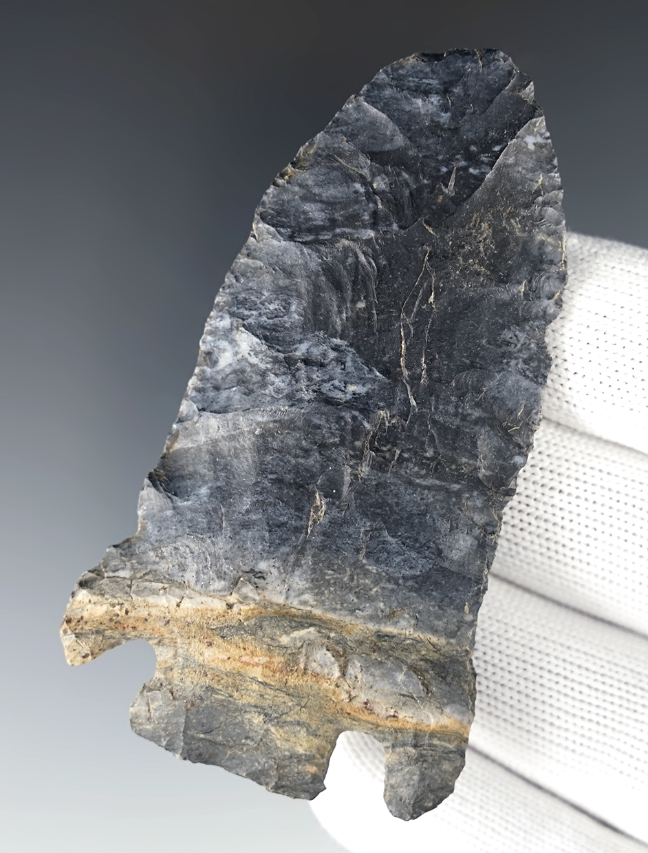3 3/16" rare Basal Notch made from a beautiful grade of Coshocton flint. Found in Ohio.