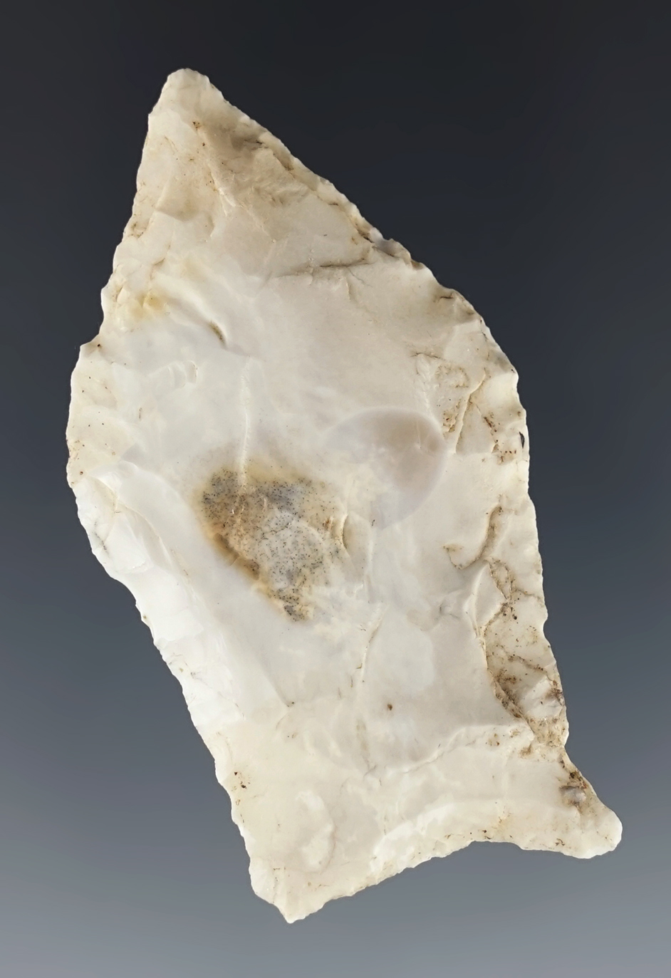 2 7/16" Pelican found in Newton Co., Texas. Comes with a Rogers COA.