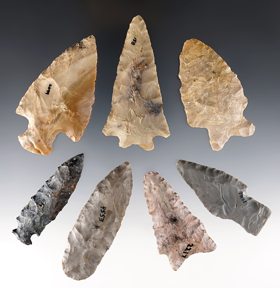 Set of 7 Kentucky points, most in excellent condition. Ex. Charlie Long. The largest is 2 13/16".