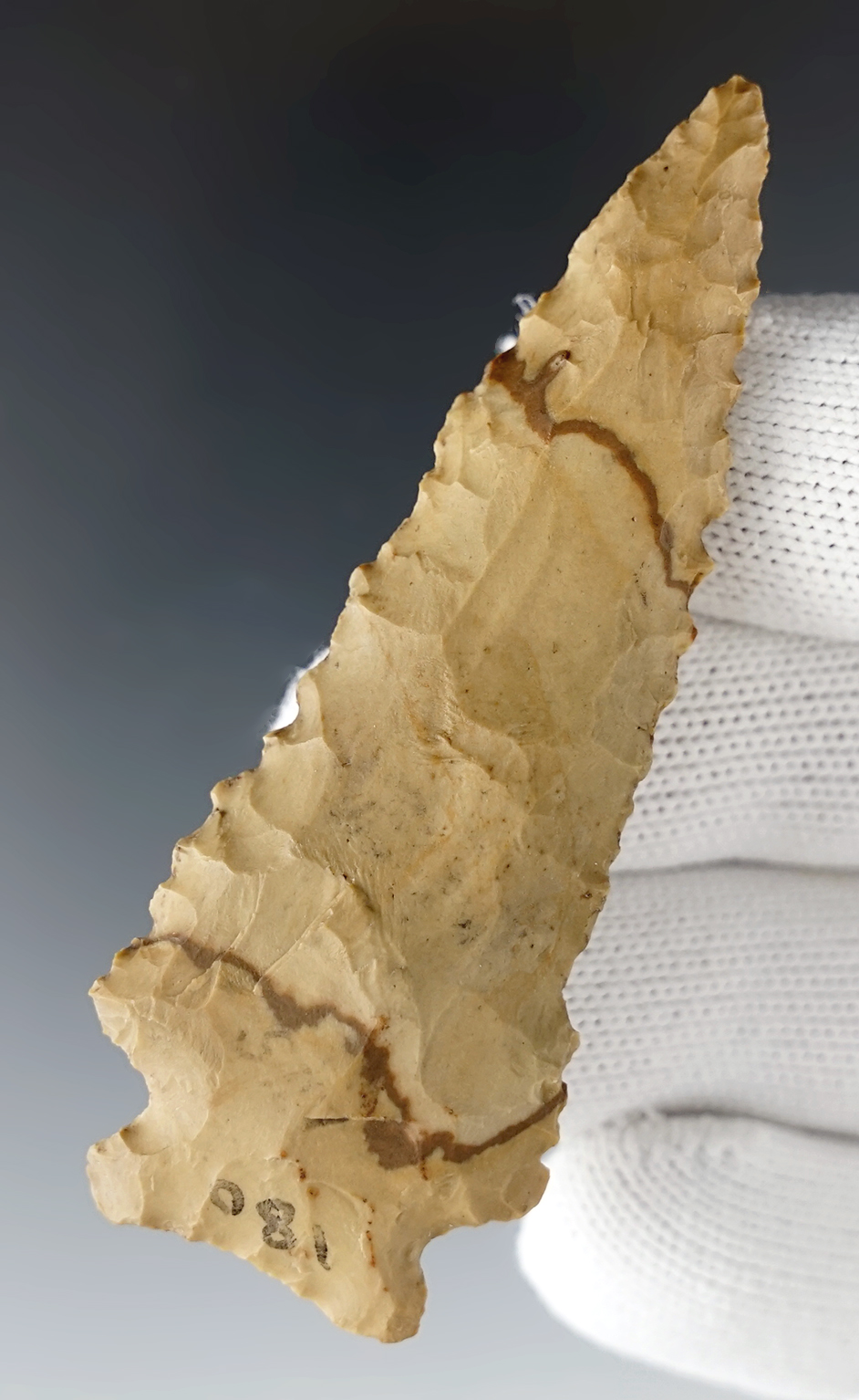 2 15/16" Pinetree - nicely colored Buffalo River Chert. Found in Carroll Co., Tennessee. COA.