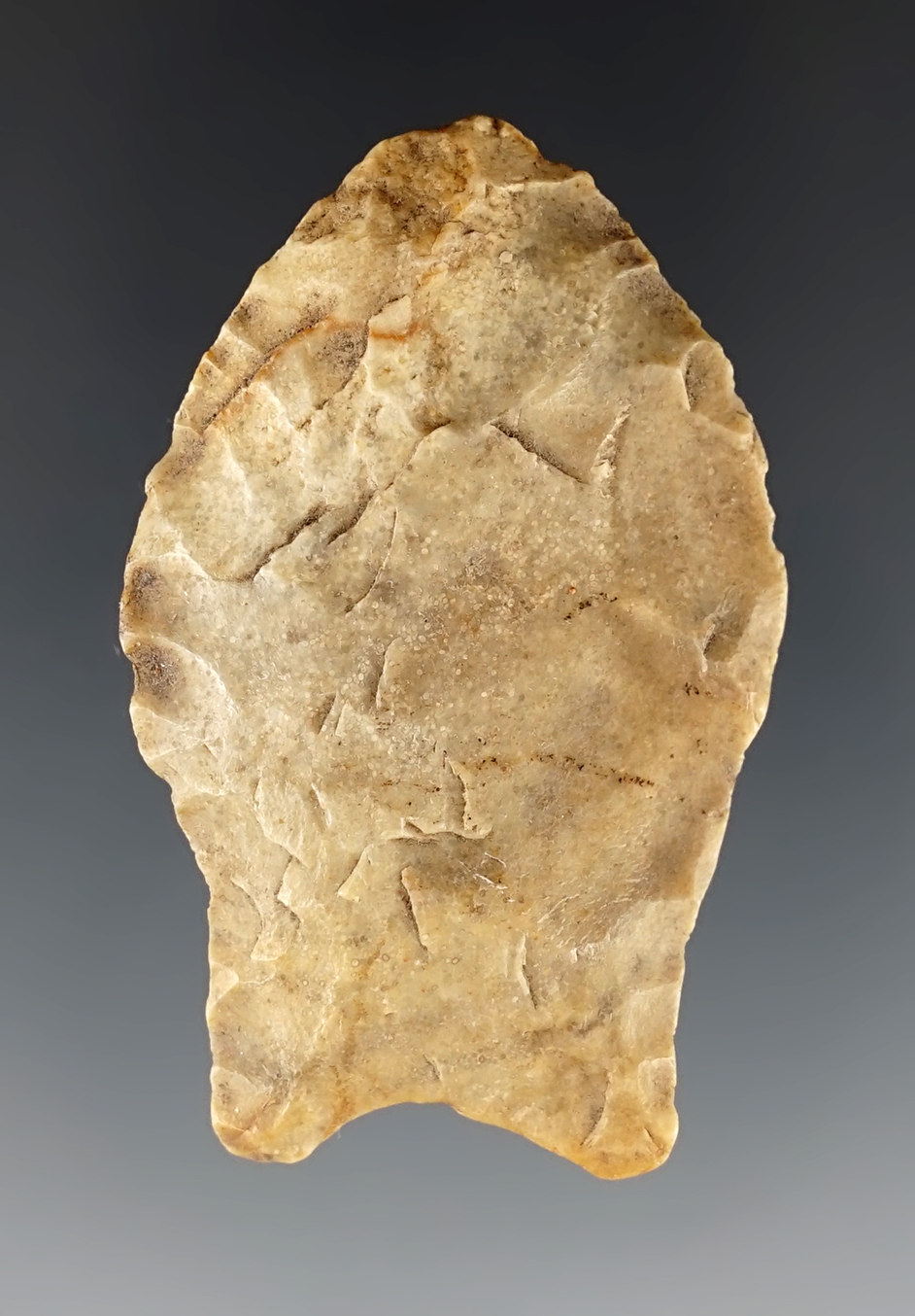 2 1/8" Pelican made from yellow and tan chert. Found in Angelina Co., Texas. Rogers COA.
