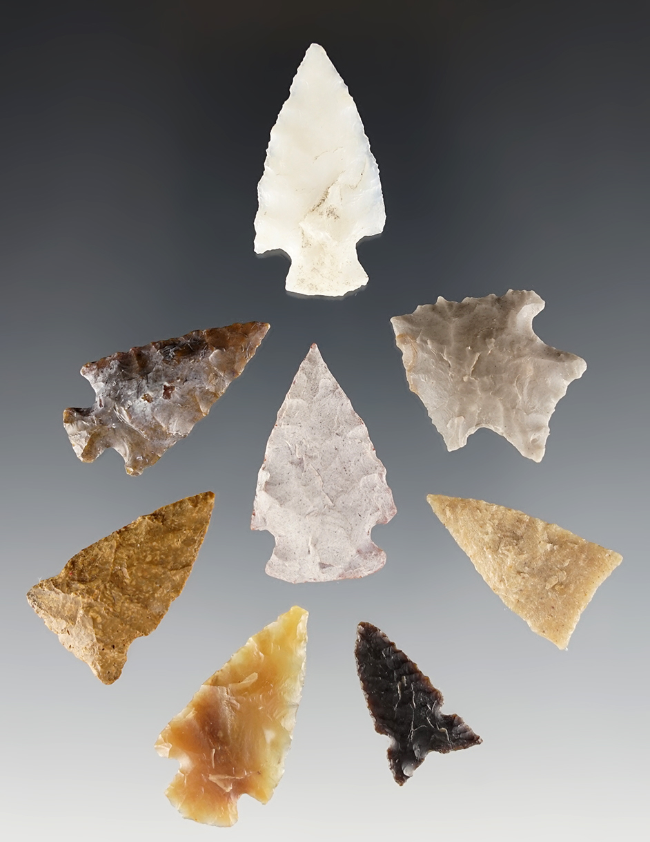 Set of 8 assorted points found in the High Plains area. The largest is 1 1/4".