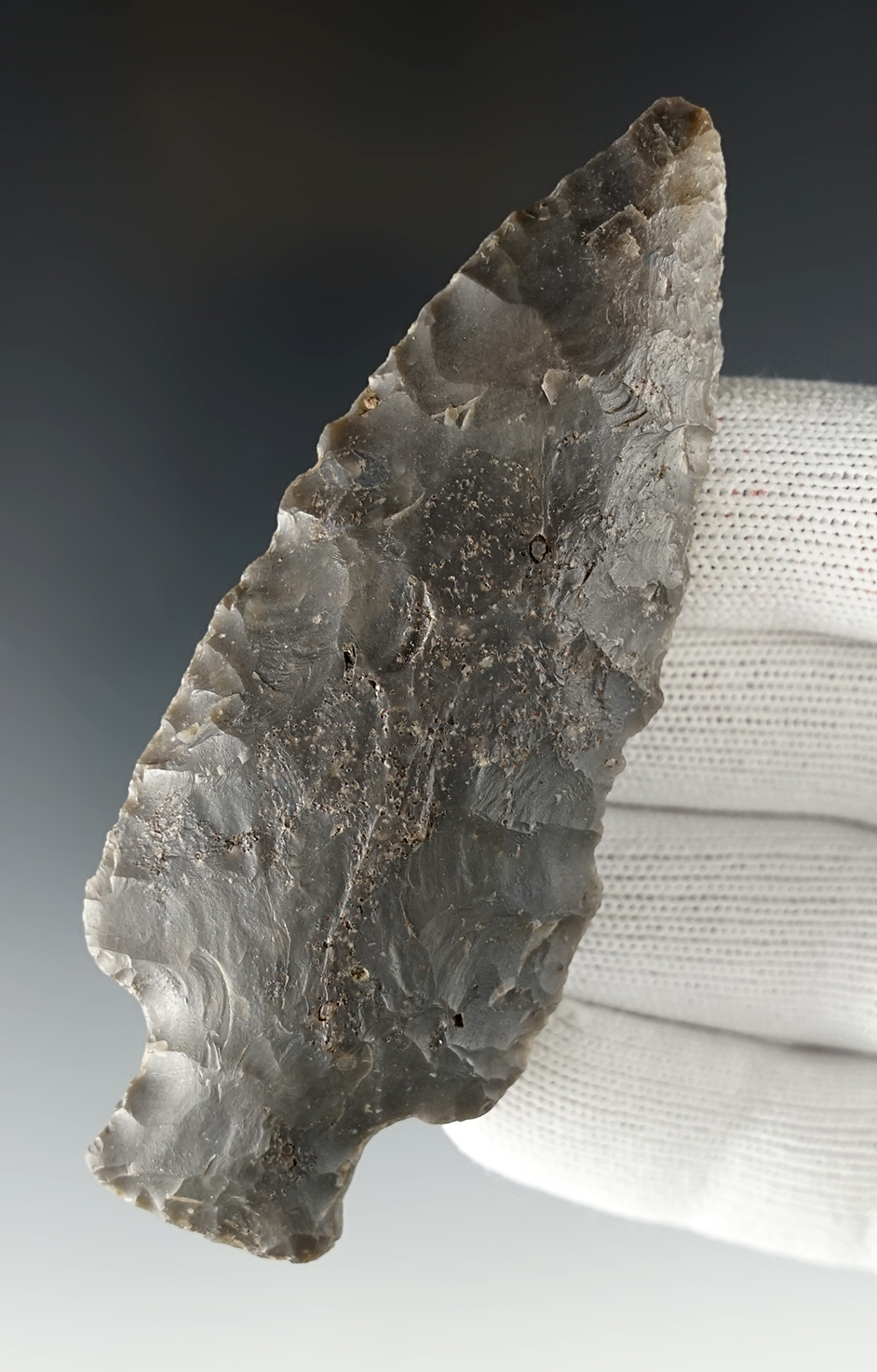 3 7/8" Robbins Adena found in Switzerland Co., Indiana. Comes with a Davis COA.