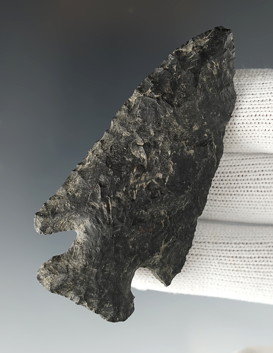Nicely made 2 15/16" Archaic Thebes found in Lorain Co., Ohio. Well patinated Nellie Chert.