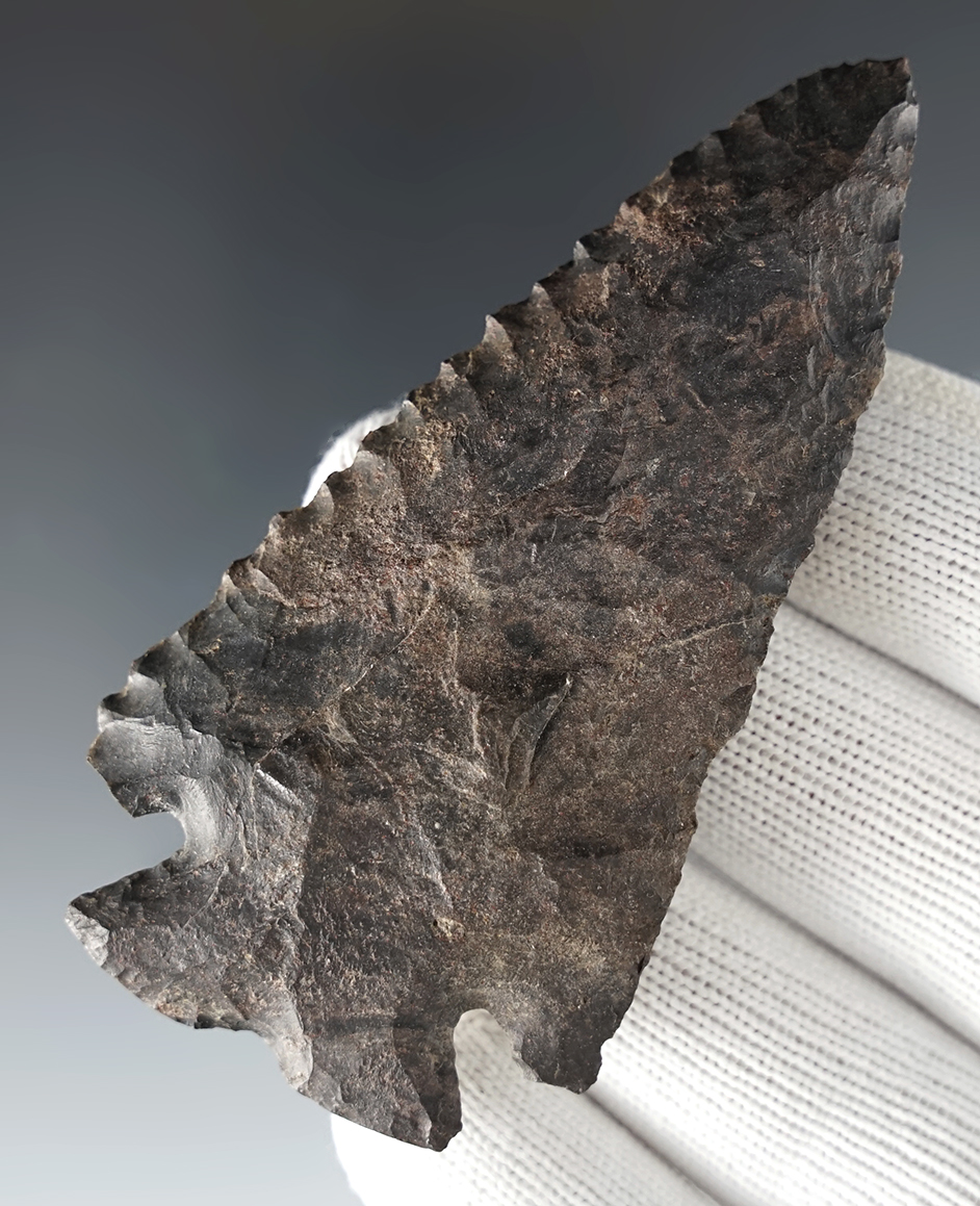 3 5/16" classic Archaic Notch-Base Dovetail that is beveled and serrated. Heavy ancient grinding