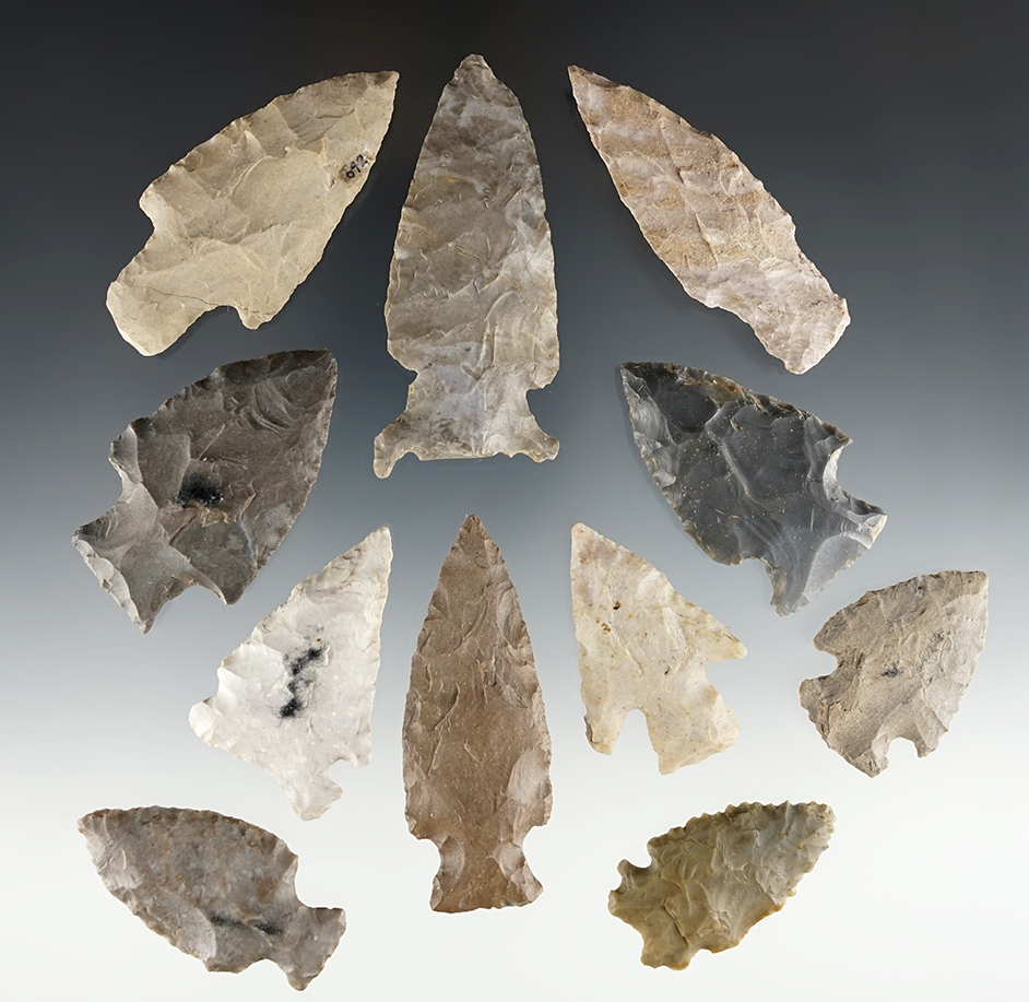 Set of 11 nice points found by Charlie Long in Clark Co., Kentucky. The largest is 2 13/16".