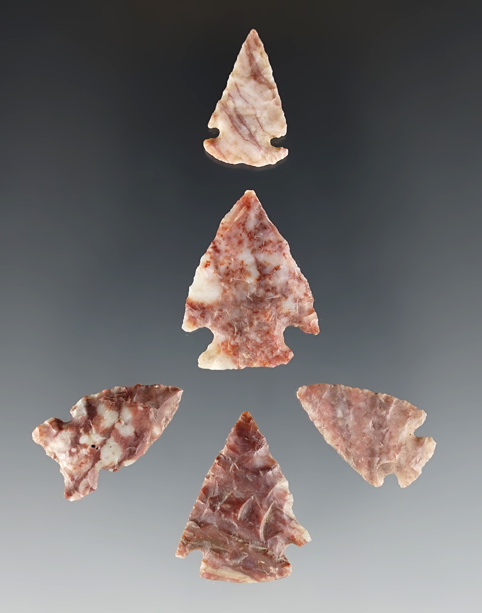 Set of 5 highly colorful Colorado points made from Alibates flint. The largest is 1".