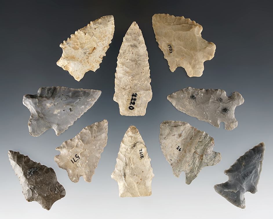 Set of 10 nicely made Kentucky points found by Charlie Long. The largest is 2 3/8".