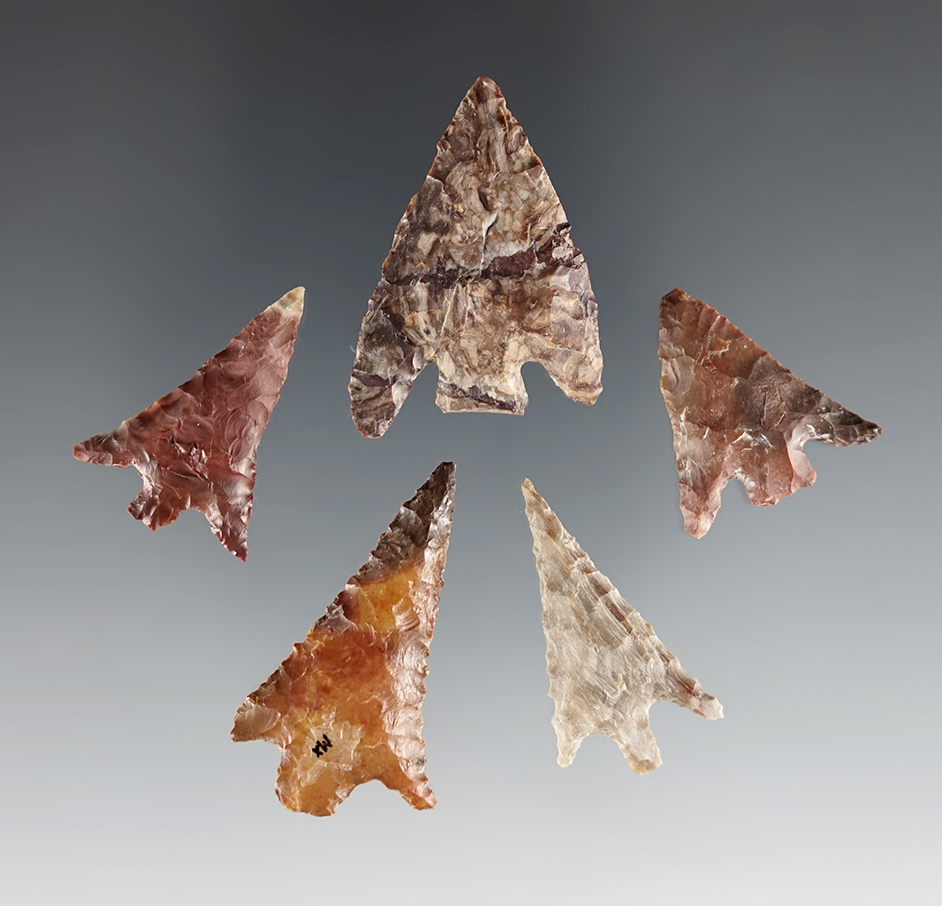 Set of 5 colorful points found near the Columbia River in Oregon. The largest is 1 7/16".