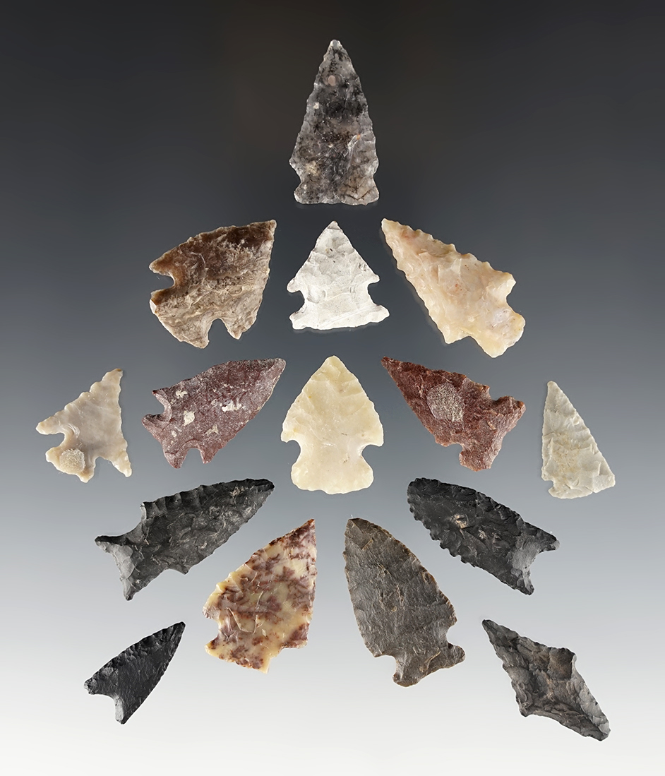Set of 15 assorted points found in the Western U.S. The largest is 1 5/16".